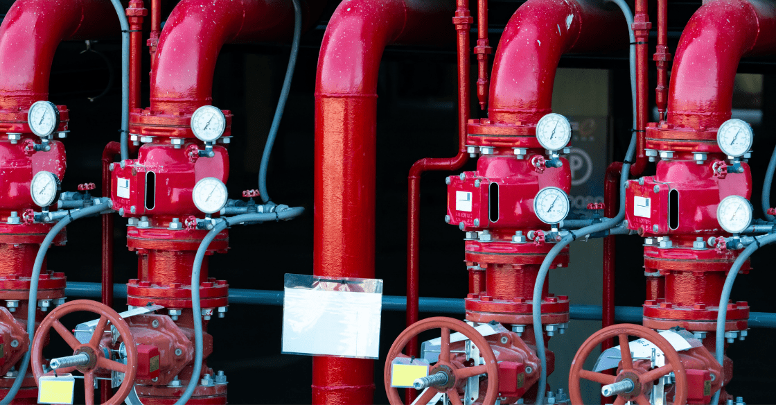 Fire sprinkler system 